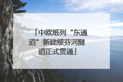 中欧班列“东通道”新建绥芬河隧道正式贯通