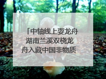 中轴线上耍龙舟 湖南兰溪双桡龙舟入藏中国非物质文化遗产馆
