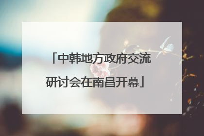 中韩地方政府交流研讨会在南昌开幕