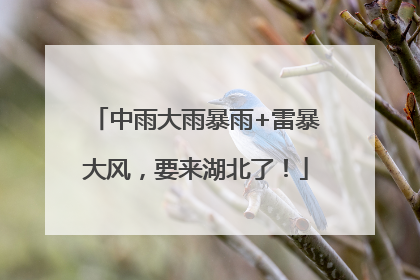 中雨大雨暴雨+雷暴大风，要来湖北了！