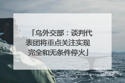 乌外交部：谈判代表团将重点关注实现完全和无条件停火