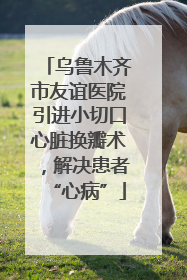 乌鲁木齐市友谊医院引进小切口心脏换瓣术，解决患者“心病”