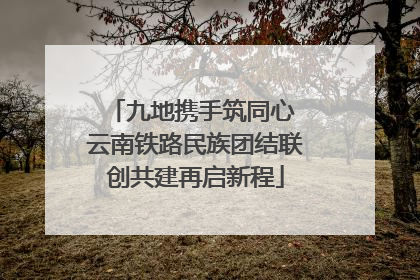 九地携手筑同心 云南铁路民族团结联创共建再启新程