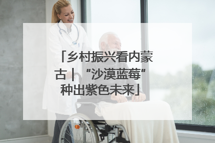 乡村振兴看内蒙古｜“沙漠蓝莓”种出紫色未来