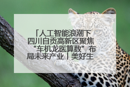 人工智能浪潮下 四川自贡高新区聚焦“车机龙医算数”布局未来产业丨美好生活有“盐”味