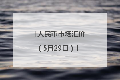 人民币市场汇价（5月29日）