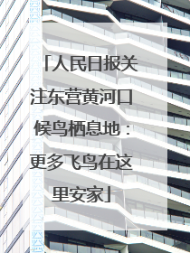 人民日报关注东营黄河口候鸟栖息地：更多飞鸟在这里安家