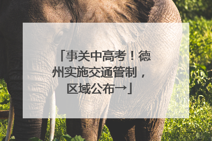 事关中高考！德州实施交通管制，区域公布→