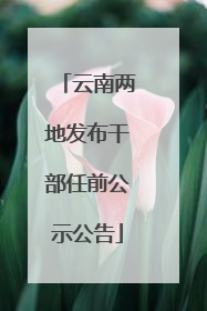 云南两地发布干部任前公示公告