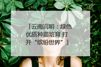 云南嵩明：绿色优质种苗培育 打开“缤纷世界”