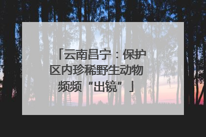 云南昌宁：保护区内珍稀野生动物频频“出镜”