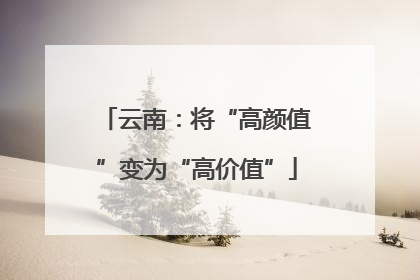 云南：将“高颜值”变为“高价值”