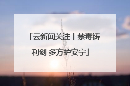 云新闻关注丨禁毒铸利剑 多方护安宁