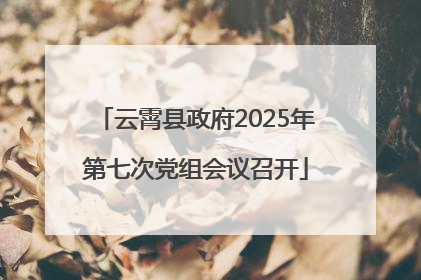 云霄县政府2025年第七次党组会议召开