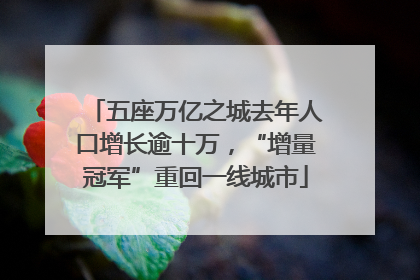 五座万亿之城去年人口增长逾十万，“增量冠军”重回一线城市