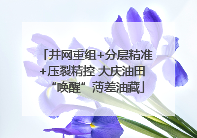 井网重组+分层精准+压裂精控 大庆油田“唤醒”薄差油藏