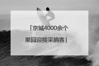 京城4000余个果园迎接采摘客
