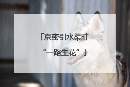京密引水渠畔“一路生花”