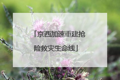 京西加速重建抢险救灾生命线