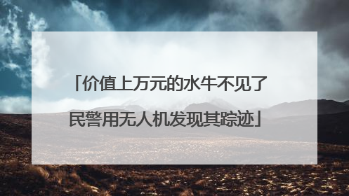 价值上万元的水牛不见了 民警用无人机发现其踪迹