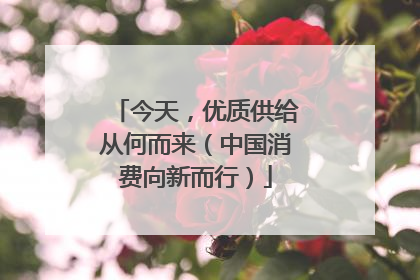 今天，优质供给从何而来（中国消费向新而行）