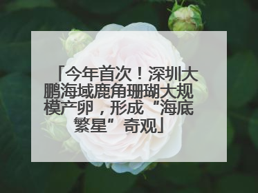今年首次！深圳大鹏海域鹿角珊瑚大规模产卵，形成“海底繁星”奇观
