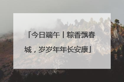 今日端午丨粽香飘春城，岁岁年年长安康