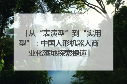 从“表演型”到“实用型”：中国人形机器人商业化落地探索提速