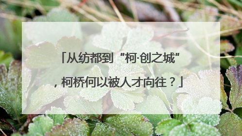 从纺都到“柯·创之城”，柯桥何以被人才向往？