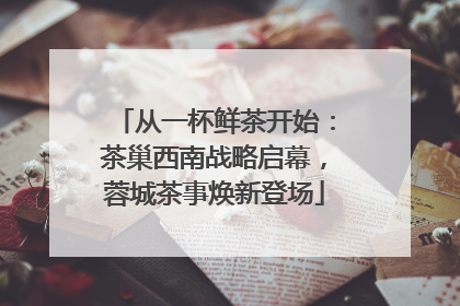 从一杯鲜茶开始：茶巢西南战略启幕，蓉城茶事焕新登场