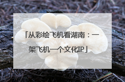 从彩绘飞机看湖南：一架飞机一个文化IP