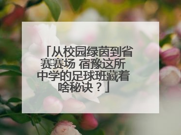从校园绿茵到省赛赛场 宿豫这所中学的足球班藏着啥秘诀？