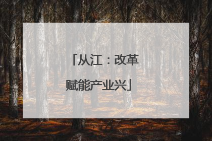 从江：改革赋能产业兴