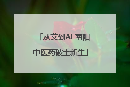 从艾到AI 南阳中医药破土新生