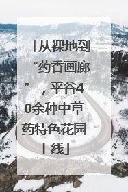 从裸地到“药香画廊”，平谷40余种中草药特色花园上线
