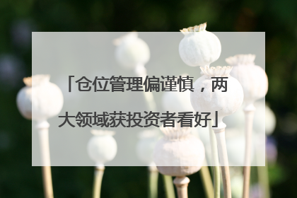 仓位管理偏谨慎，两大领域获投资者看好