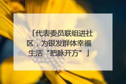 代表委员联组进社区，为银发群体幸福生活“把脉开方”