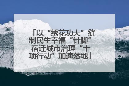 以“绣花功夫”缝制民生幸福“针脚” 宿迁城市治理“十项行动”加速落地