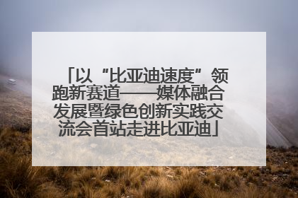 以“比亚迪速度”领跑新赛道——媒体融合发展暨绿色创新实践交流会首站走进比亚迪