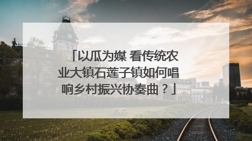 以瓜为媒 看传统农业大镇石莲子镇如何唱响乡村振兴协奏曲？