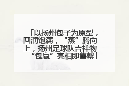 以扬州包子为原型，圆润饱满，“蒸”腾向上，扬州足球队吉祥物“包赢”亮相即售罄