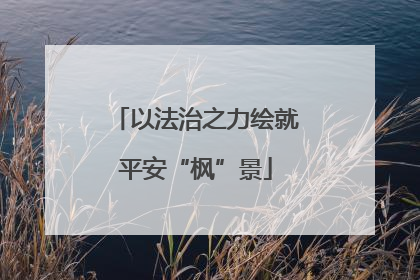 以法治之力绘就平安“枫”景