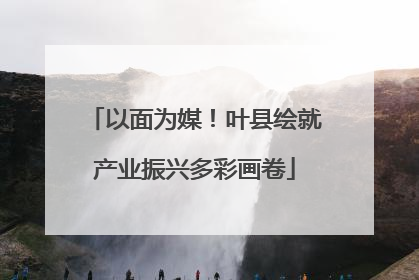 以面为媒！叶县绘就产业振兴多彩画卷
