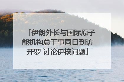 伊朗外长与国际原子能机构总干事同日到访开罗 讨论伊核问题