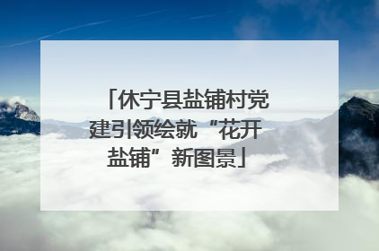 休宁县盐铺村党建引领绘就“花开盐铺”新图景