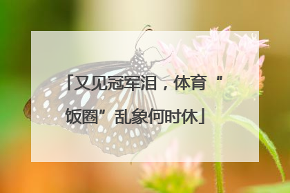 又见冠军泪，体育“饭圈”乱象何时休