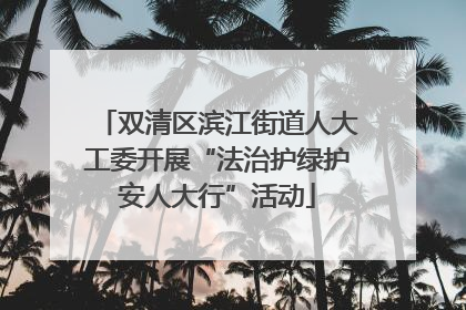 双清区滨江街道人大工委开展“法治护绿护安人大行”活动