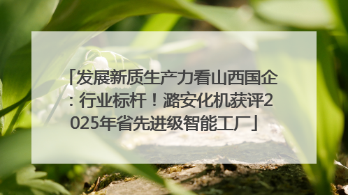 发展新质生产力看山西国企：行业标杆！潞安化机获评2025年省先进级智能工厂