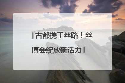 古都携手丝路！丝博会绽放新活力