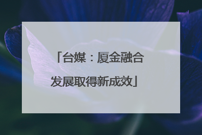 台媒：厦金融合发展取得新成效